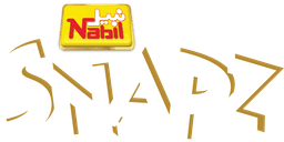 Snapz Logo